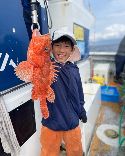 オニカサゴの釣果