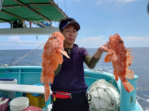 オニカサゴの釣果