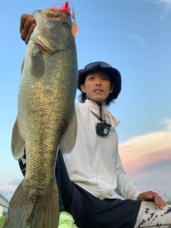 ブラックバスの釣果