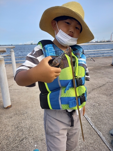 チャリコの釣果