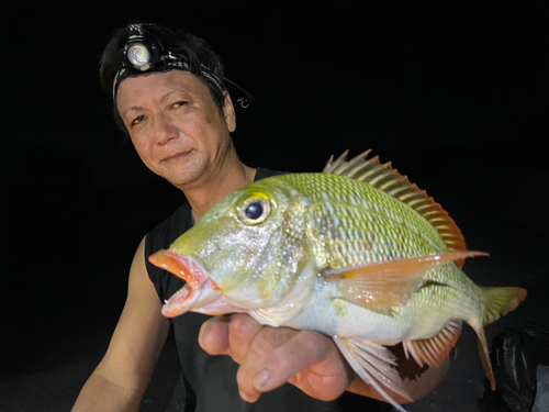 クチナジの釣果