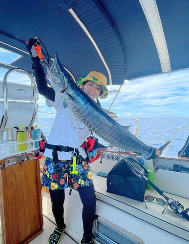 カマスサワラの釣果