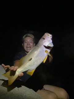 イッテンフエダイの釣果