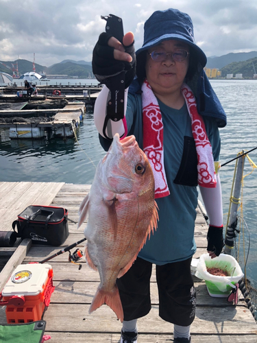 タイの釣果