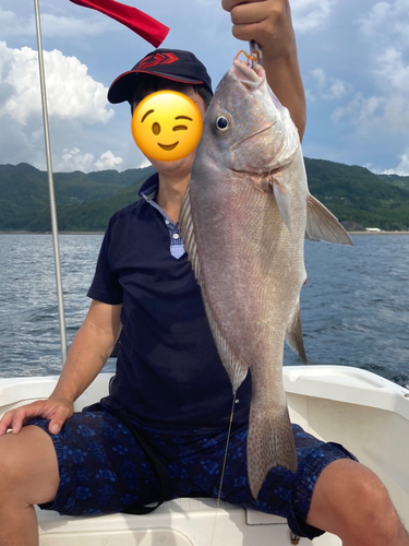 コショウダイの釣果