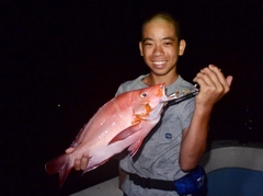 ヒメフエダイの釣果