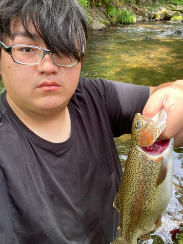 ニジマスの釣果