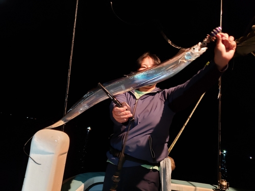 タチウオの釣果