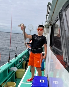 サメの釣果