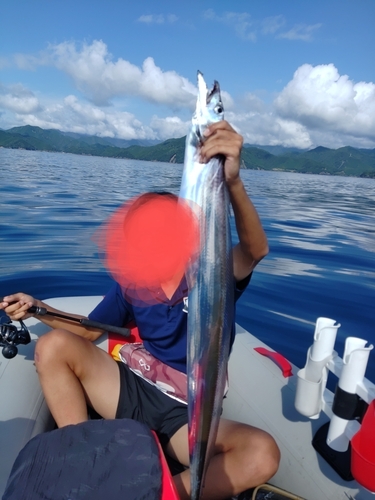 タチウオの釣果