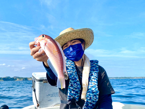 アマダイの釣果