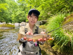 イワナの釣果