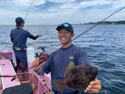 カワハギの釣果