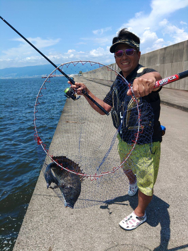 チヌの釣果