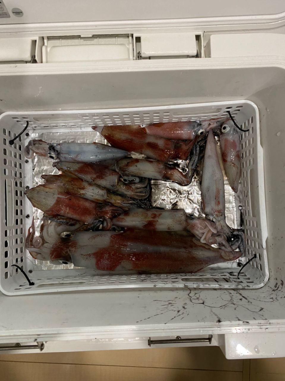 渡流さんの釣果 2枚目の画像