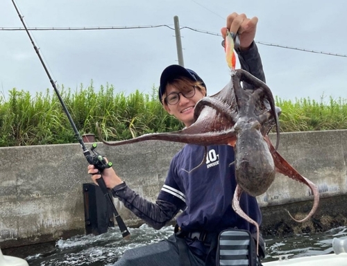 マダコの釣果