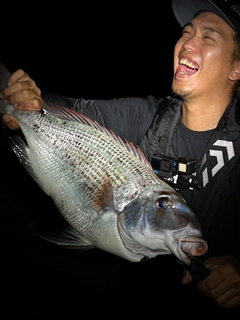 メイチダイの釣果