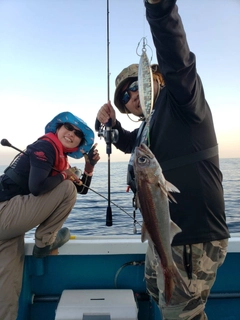 クロムツの釣果