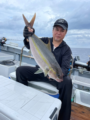 カンパチの釣果