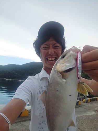 シオの釣果