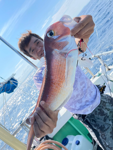 アマダイの釣果