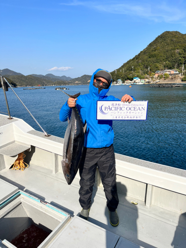 ビンチョウマグロの釣果