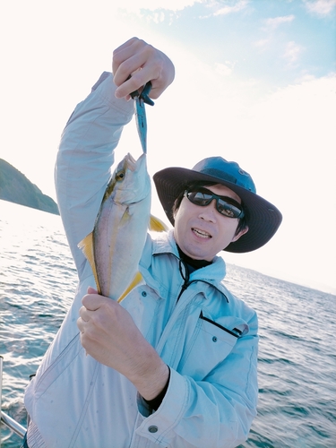 シオの釣果