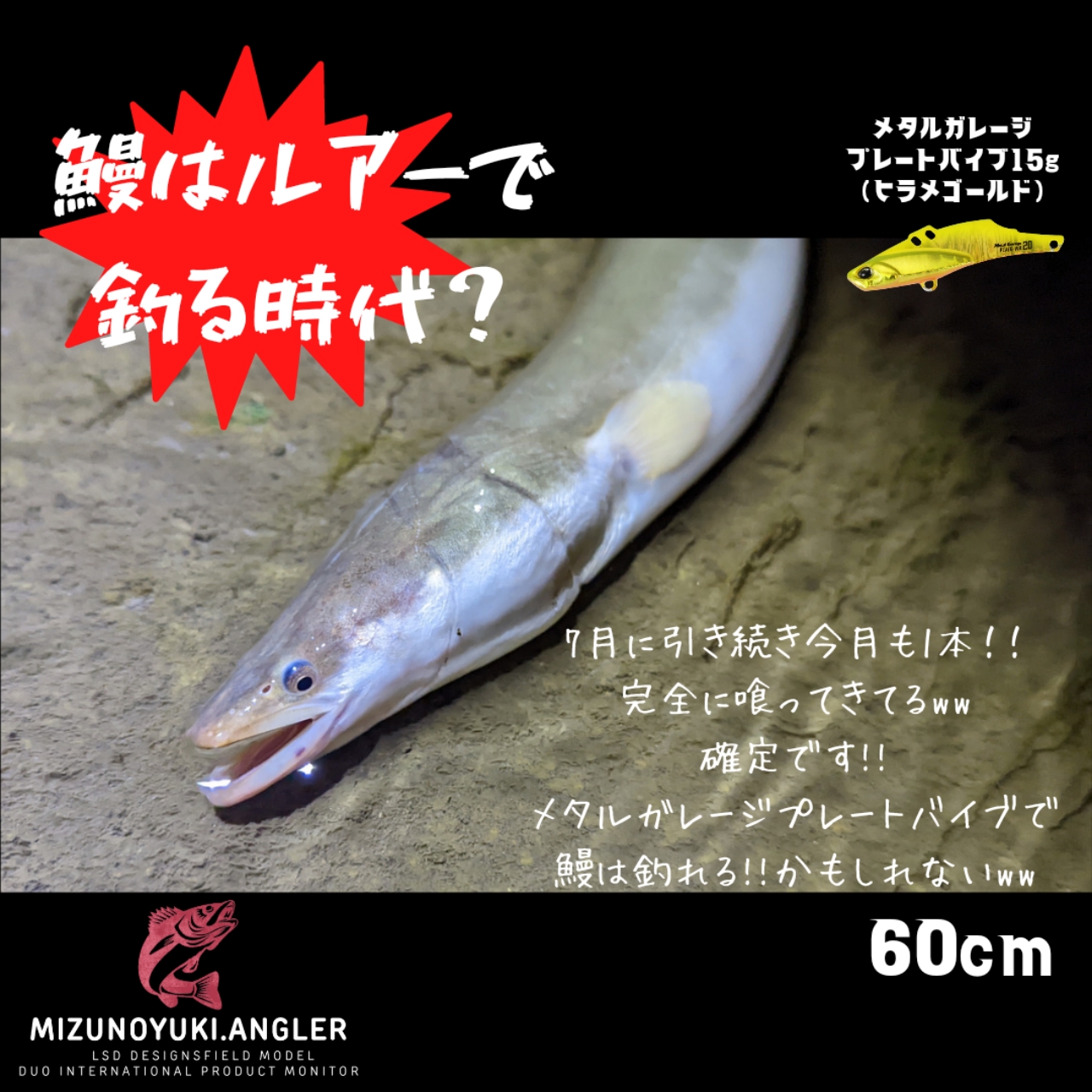 水野ユウキ さんの 2022年08月08日のウナギの釣り・釣果情報(東京都 