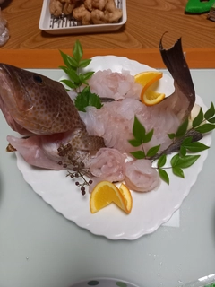 オオモンハタの釣果