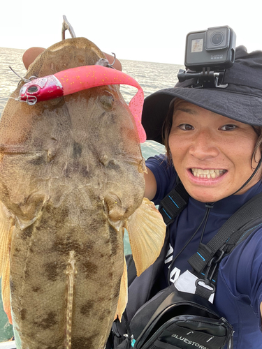 マゴチの釣果