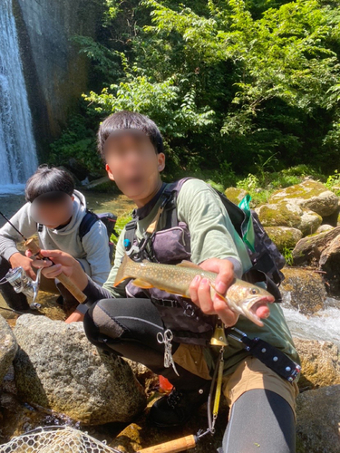 イワナの釣果