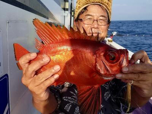 キントキダイの釣果