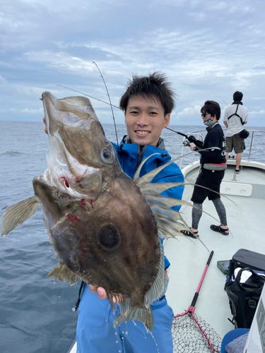 マトウダイの釣果