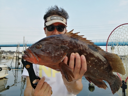 キジハタの釣果