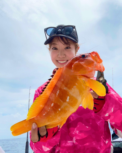 アカハタの釣果