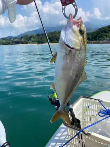 釣果