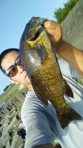 スモールマウスバスの釣果