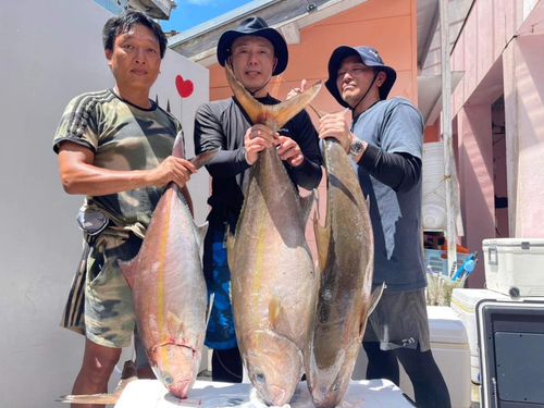 カンパチの釣果