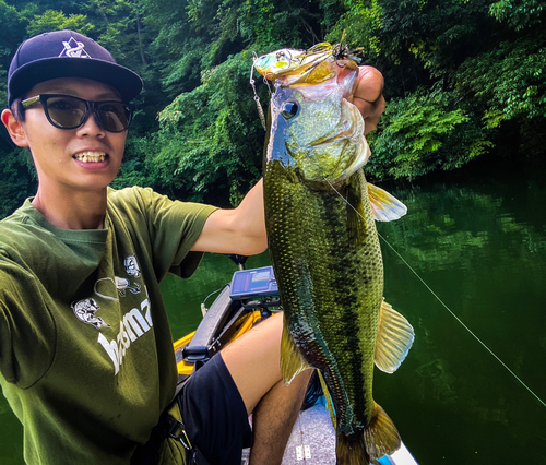 ブラックバスの釣果