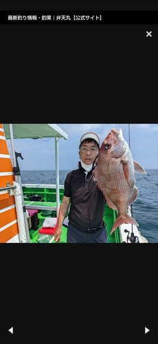 マダイの釣果