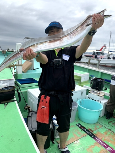 タチウオの釣果