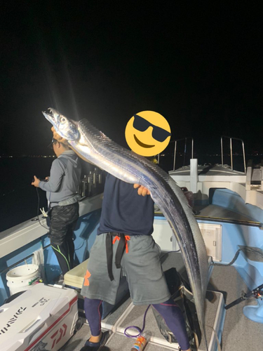 タチウオの釣果