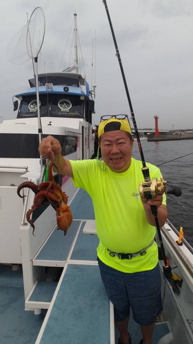 マダコの釣果