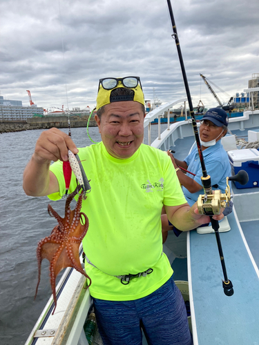 マダコの釣果