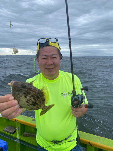 カワハギの釣果