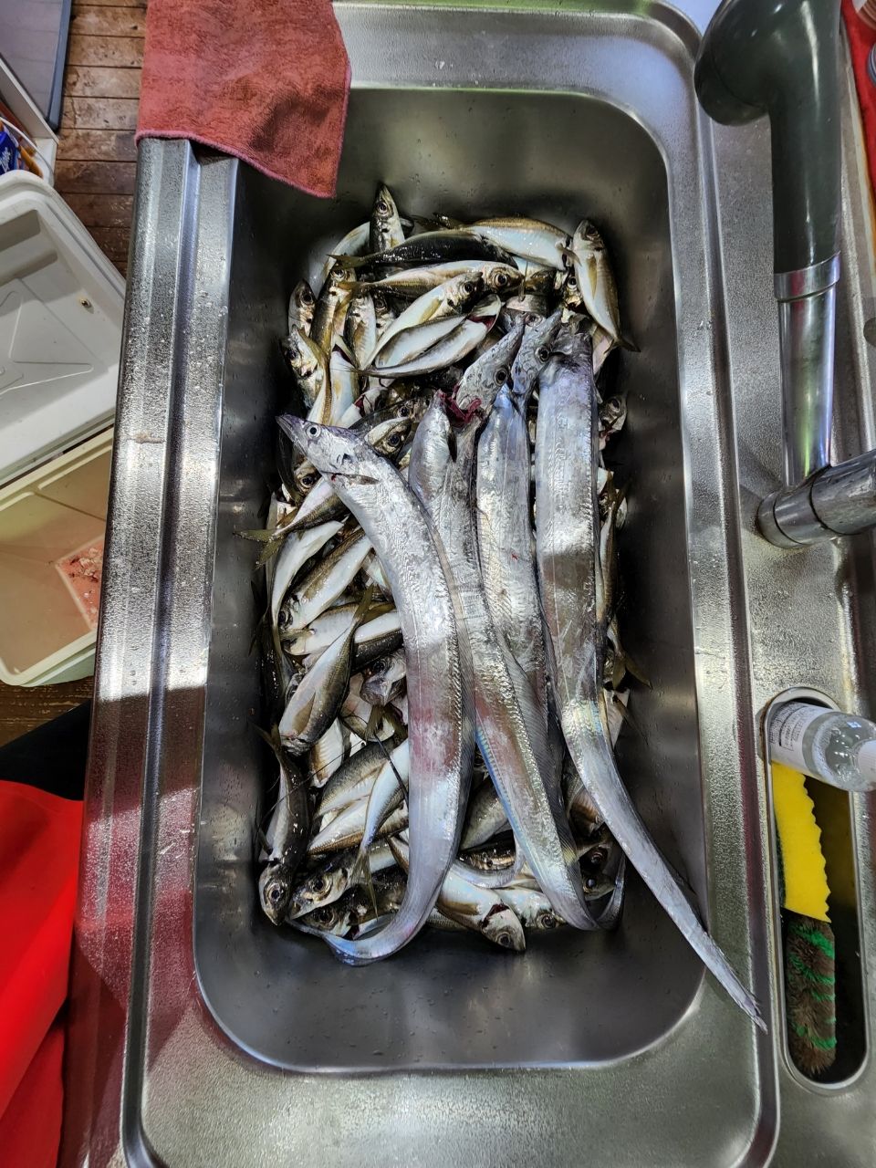 kei.turiさんの釣果 2枚目の画像