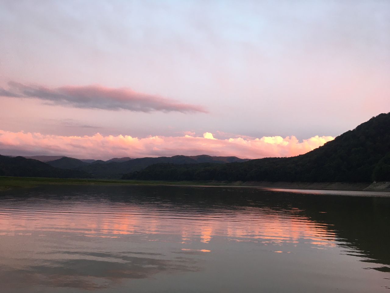 ウグイ