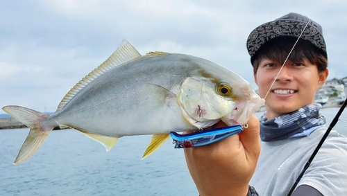 ショゴの釣果