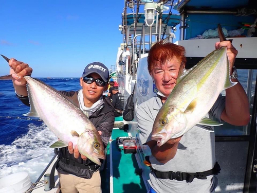 カンパチの釣果