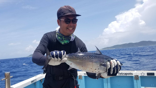 スマガツオの釣果